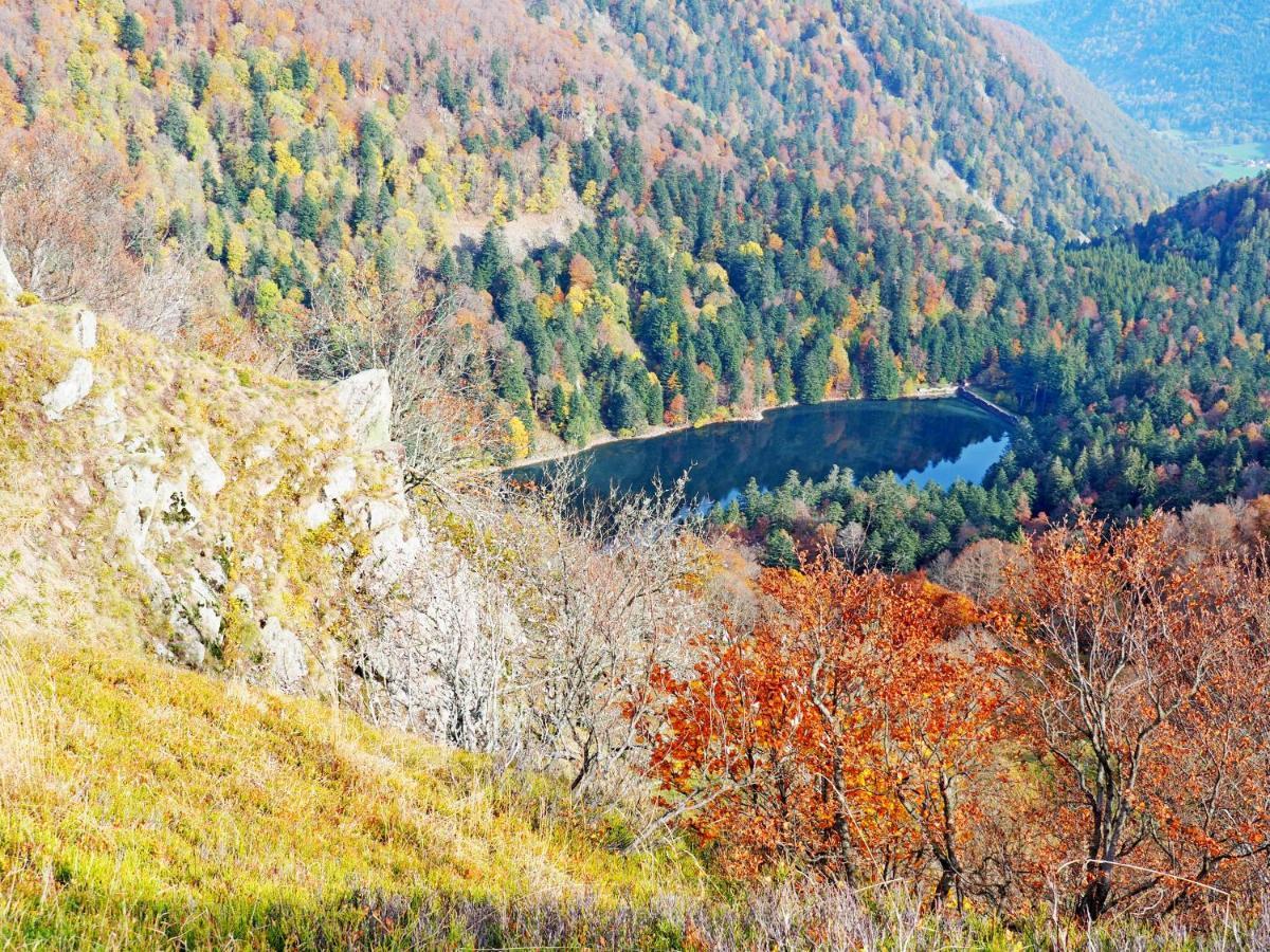 Appartement Maison Vosgienne La Bresse Centre Dış mekan fotoğraf