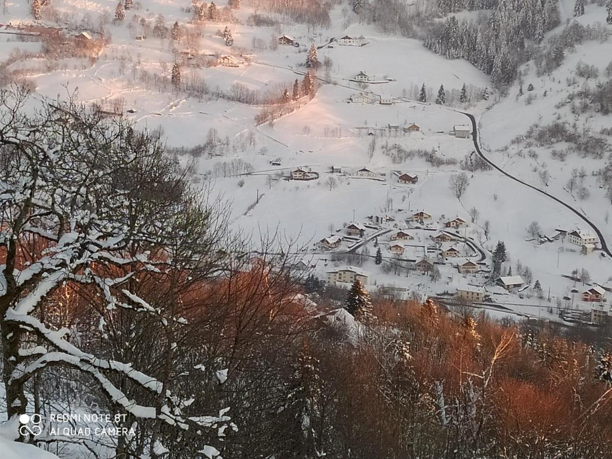Appartement Maison Vosgienne La Bresse Centre Dış mekan fotoğraf